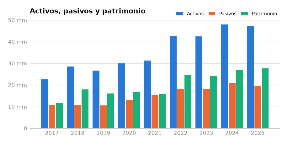 Gráfica de activos, pasivos y patrimonio de la empresa de muestra